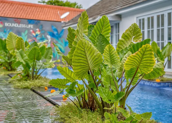 2 Bed Modern With Big Pool